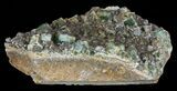 Quartz Encrusted Fluorite Cluster - Rogerley Mine #60371-2